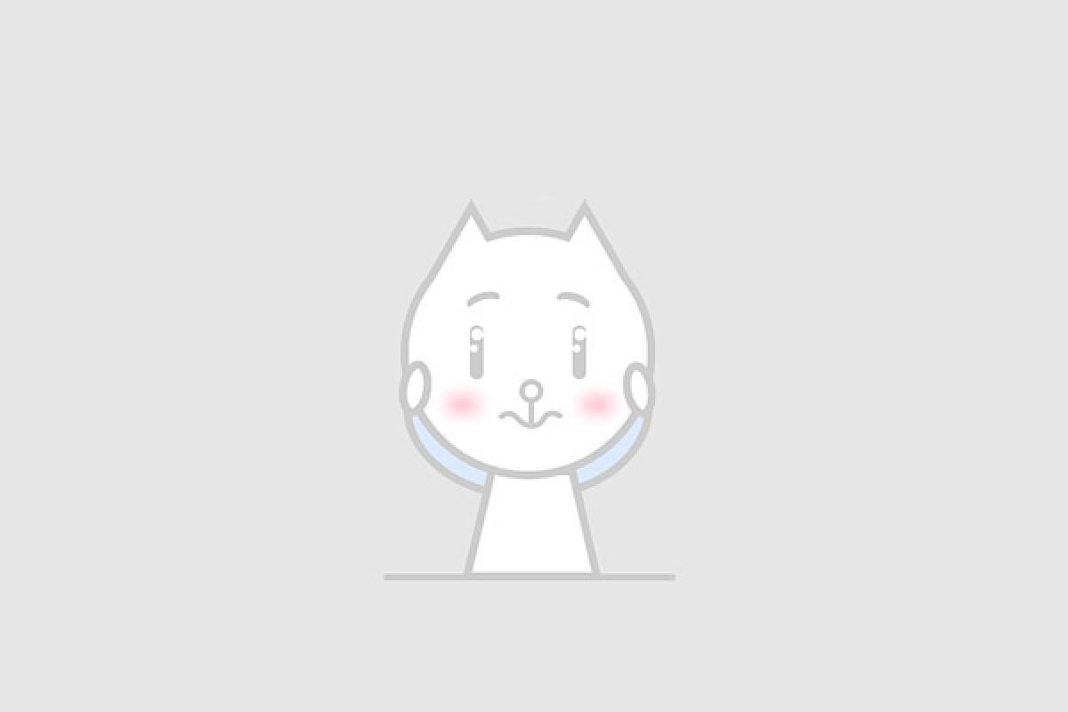 百度營銷實習生
